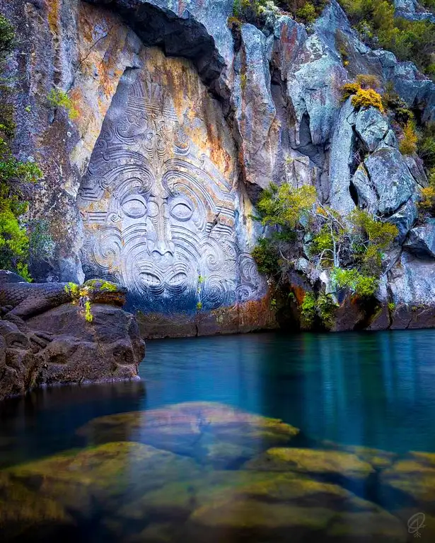 Maori Rock Carvings Tour