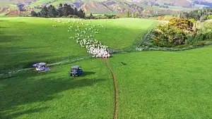 tawanui farm experiences