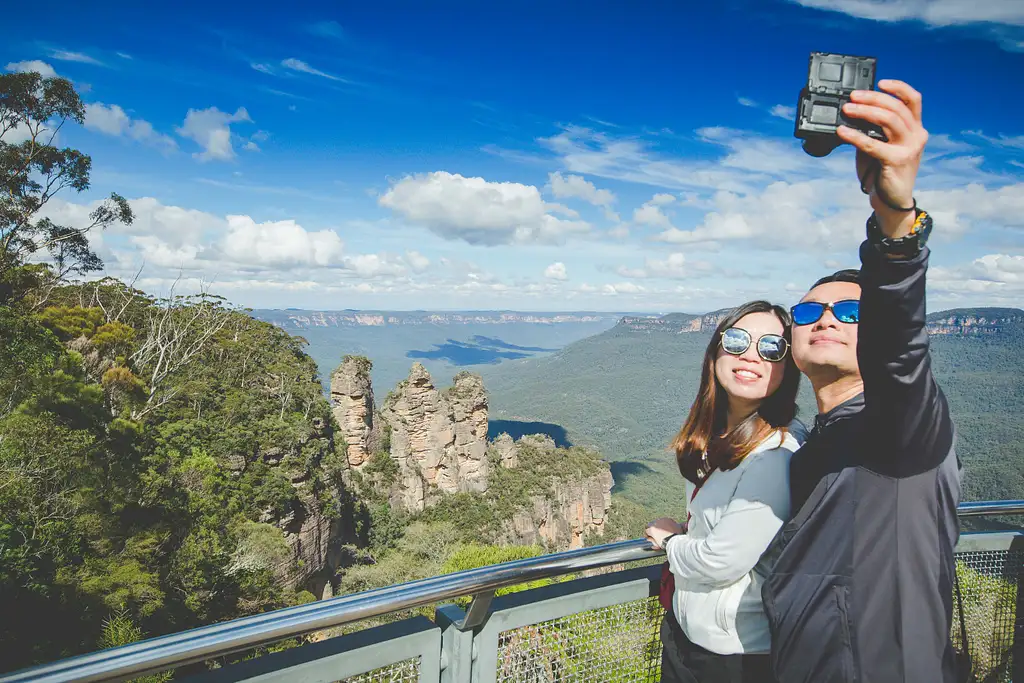 blue mountains nature & wildlife tours