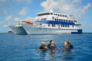 oceanquest-liveaboard-dive-vessel-cairns.jpg