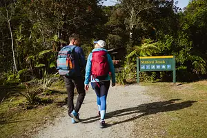 Milford Sound Nature Cruise & Milford Track Walk