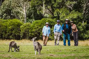 Best of Australian Wildlife and Birds Half Day Tour | From Canberra