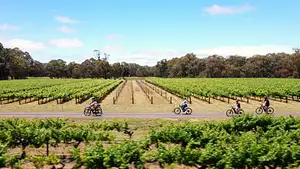 Barossa Valley tours
