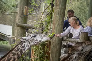 Brevard Zoo Tickets – Explore Wildlife in Melbourne, Florida