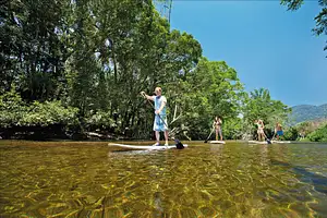 Daintree tour deals
