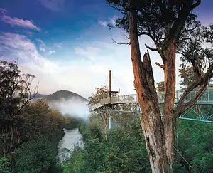 Hastings Caves, Tahune Airwalk and the Huon Tasting trail