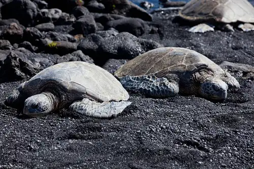 Big Island Grand Circle Island Tour