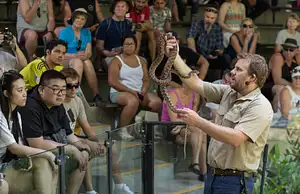 Hartley's Crocodile Hold