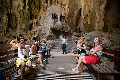 Daintree Rainforest and Chillagoe Caves Package Deals