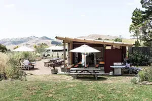 Waiheke Island wine tour