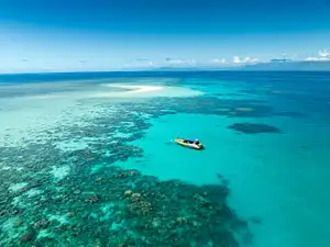 Ocean Safari Great Barrier Reef Adventure | Half Day (Morning or afternoon)