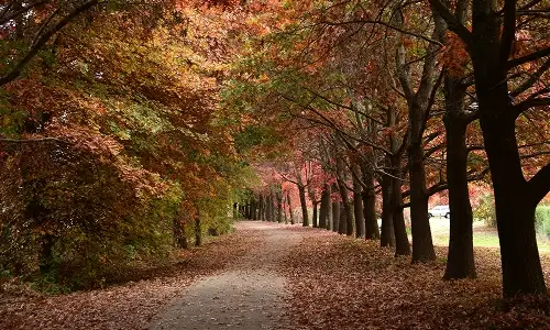 Beechworth