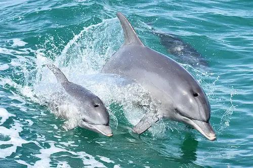 Geraldton